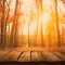 Autumn walks in Spain's forests